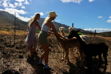 a person standing next to a horse
